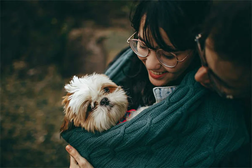 シニア犬のケア方法｜愛犬の老後を幸せにする7つの秘訣